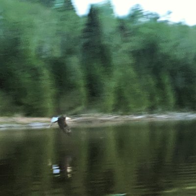 Ted Wenzel - IMG_20190607_192039_646.jpg